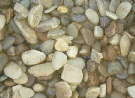 Tennessee River Pebbles